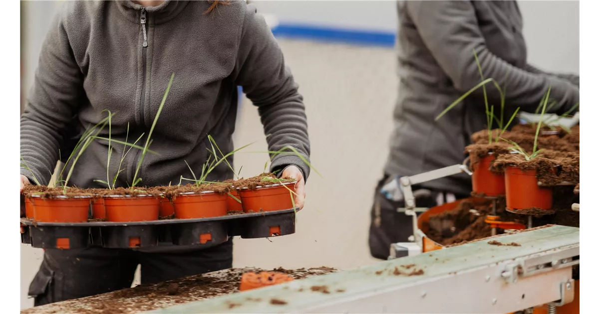 Unsere Pflanz- und Pflegeanleitungen