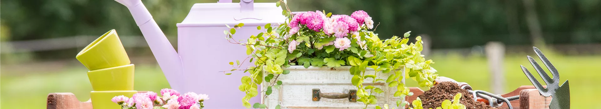 Pflanzgefäß im Ambiente