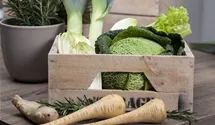Wirsingkohl