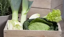 Wirsingkohl