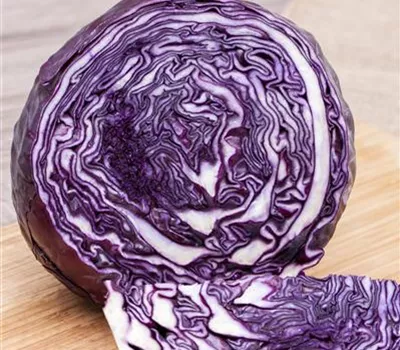 Brassica oleracea var. capitata f. rubra Brassica oleracea var. capitata f. rubra