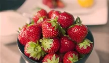 Garten-Erdbeere