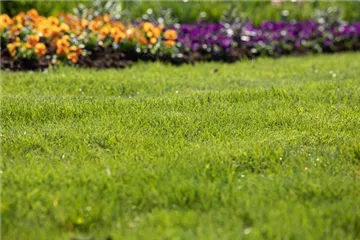Für jeden Garten den richtigen Rasen