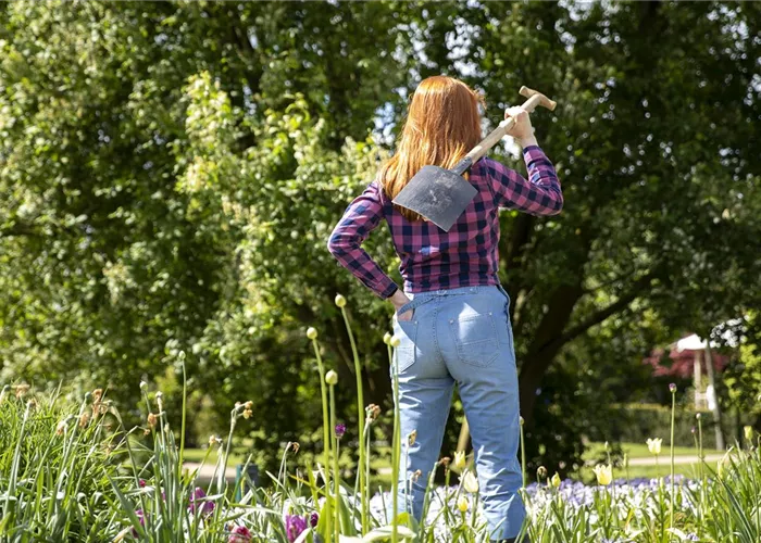 Gartenarbeit leicht gemacht – mit den richtigen Geräten