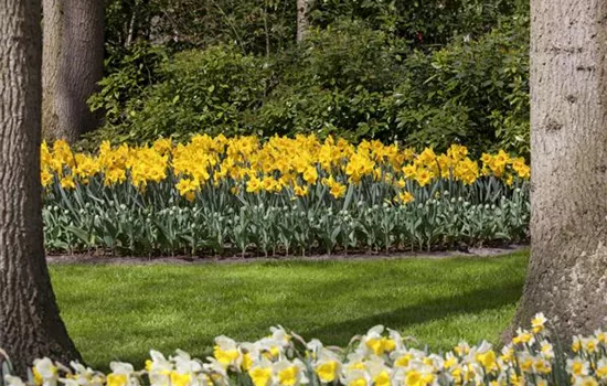 Das richtige Blumenbeet für den eigenen Garten Das richtige Blumenbeet für den eigenen Garten