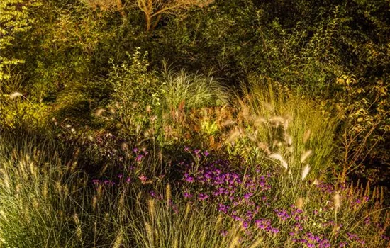 Lichtquellen machen den Garten schöner! Lichtquellen machen den Garten schöner!