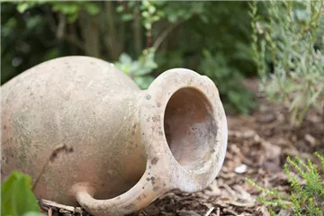 Möchten Sie Ihren Garten umstylen? So geht es ganz schnell 
