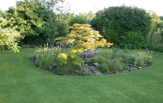 Der Rasen – grasgrün und rundum gesund Der Rasen – grasgrün und rundum gesund