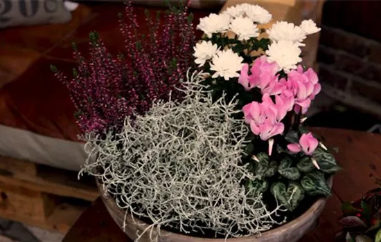 Blumenkübel – Herbstliche Bepflanzung Blumenkübel – Herbstliche Bepflanzung