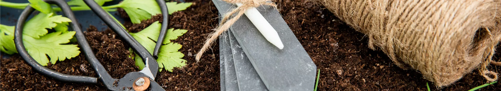 Aussaat - Pflanzenschild